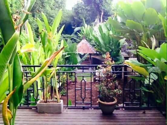 Kerta Family Bed And Breakfast Ubud Kültér fotó
